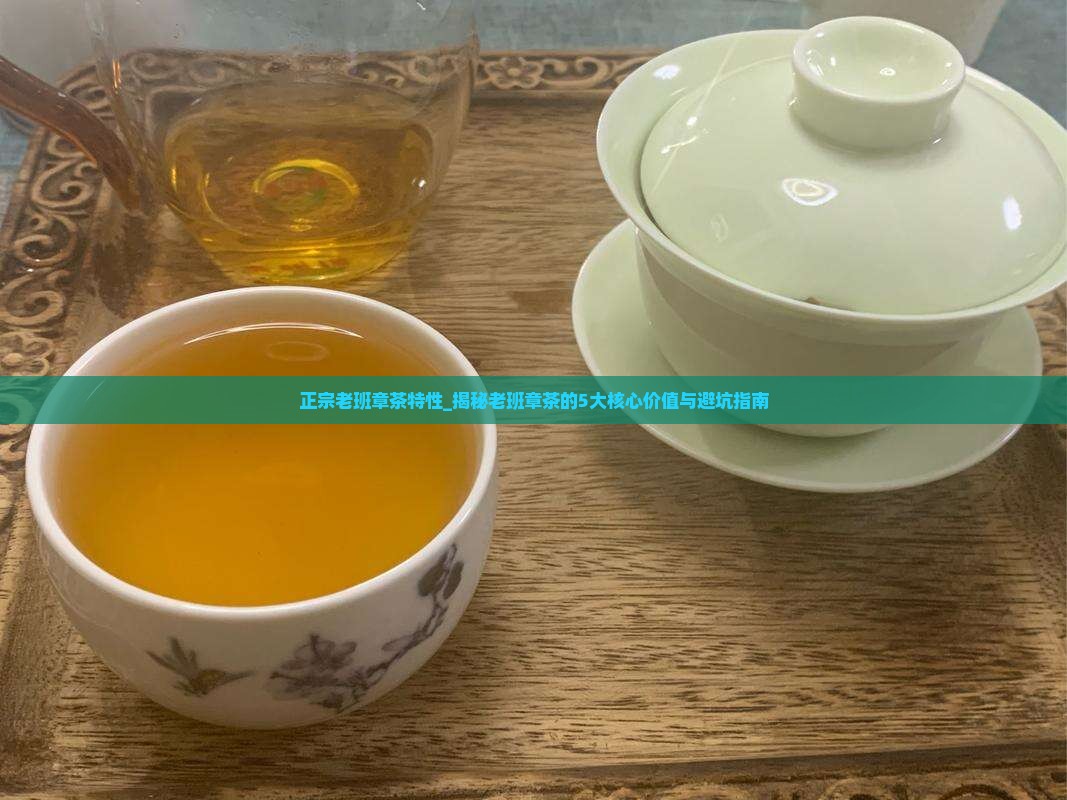 正宗老班章茶特性