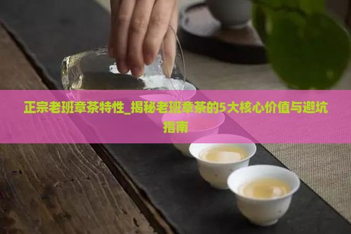 正宗老班章茶特性
