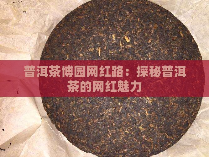 普洱茶博园网红路