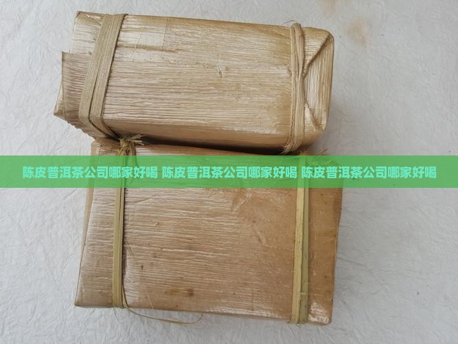 陈皮普洱茶公司哪家好喝