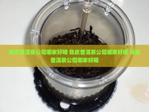 陈皮普洱茶公司哪家好喝
