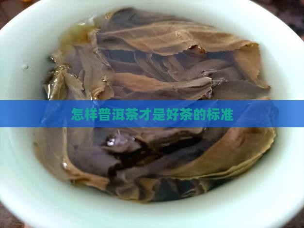 普洱茶好茶的标准
