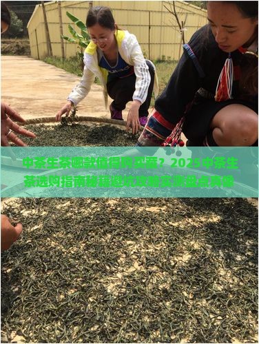 中茶生茶哪款值得购买藏