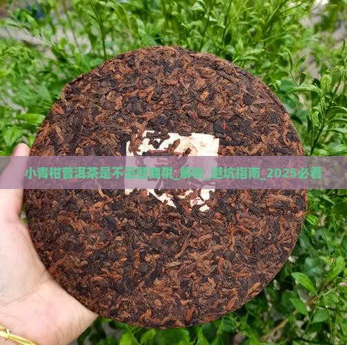 小青柑普洱茶是不是智商税