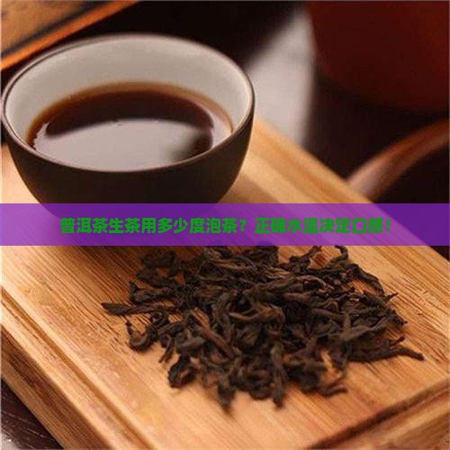 普洱茶生茶用多少度泡茶