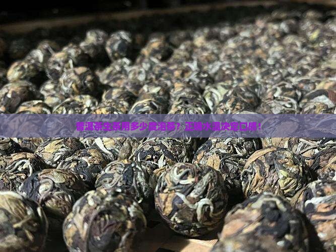 普洱茶生茶用多少度泡茶