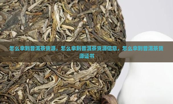 怎么拿到普洱茶货源