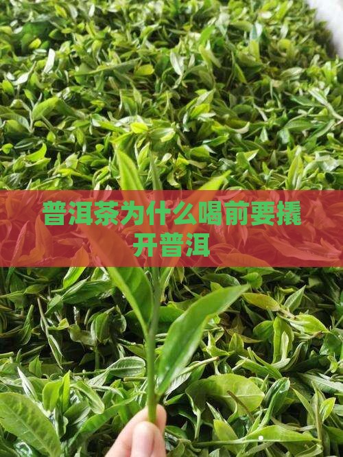 普洱为什么喝前撬开