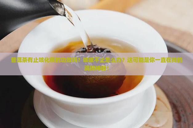 普洱茶有止咳化痰的功效吗