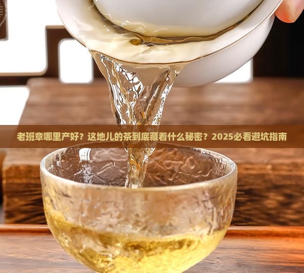 老班章哪里产好