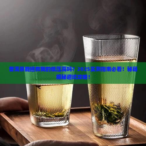 低压高能否喝普洱茶