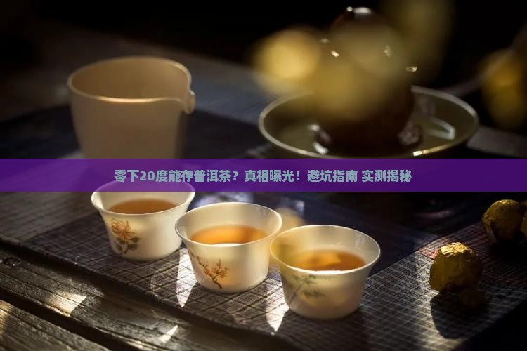 零下20度可以保管普洱茶吗