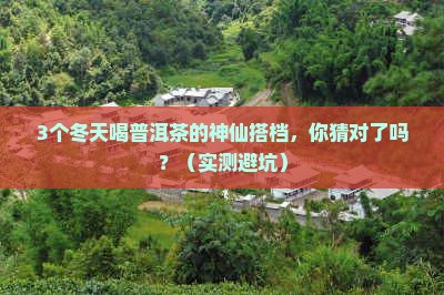 冬天普洱茶和什么泡好