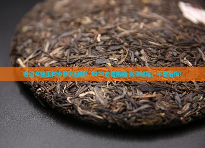 茶王树老班章全集