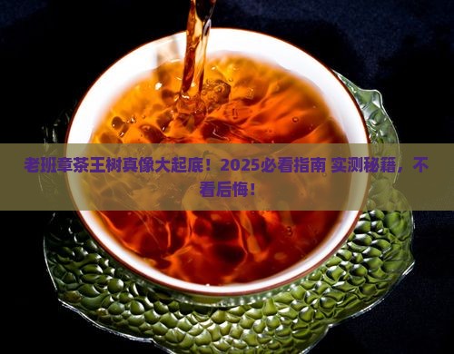 茶王树老班章全集