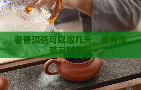老普洱茶可以泡几天