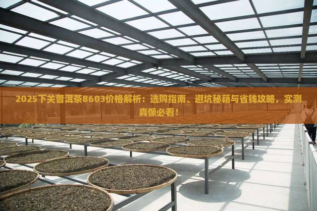 下关普洱茶8603价格