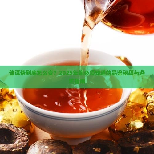 普洱茶变化规律