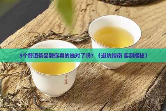 普洱茶品牌经典