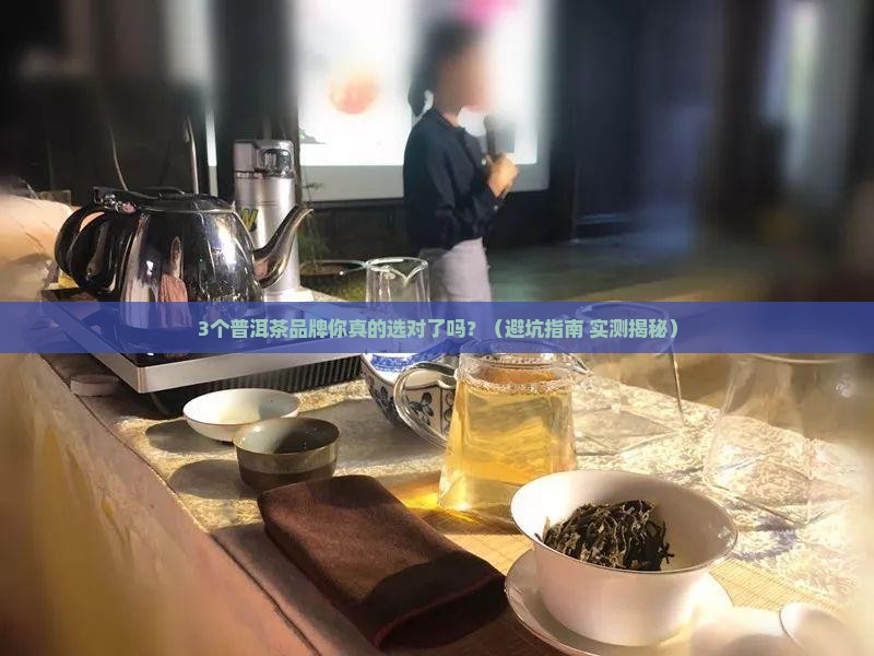 普洱茶品牌经典