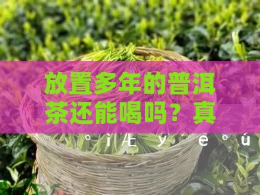 放置多年的普洱茶还能喝吗