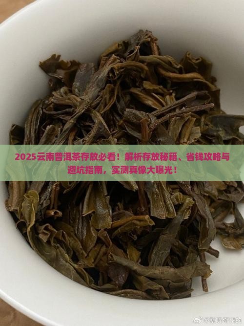 云南的普洱茶怎么放