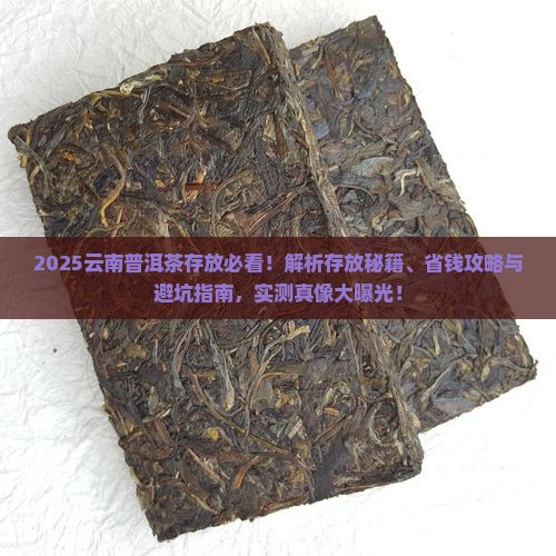 云南的普洱茶怎么放