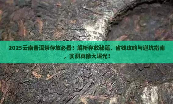 云南的普洱茶怎么放