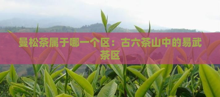 曼松茶属于哪一个区