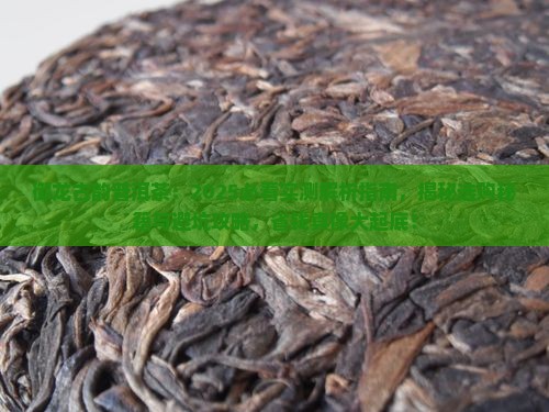 御龙古韵普洱茶 御龙古韵普洱茶