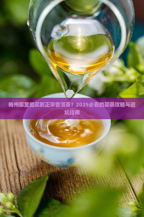 梅州卖普洱茶的地方