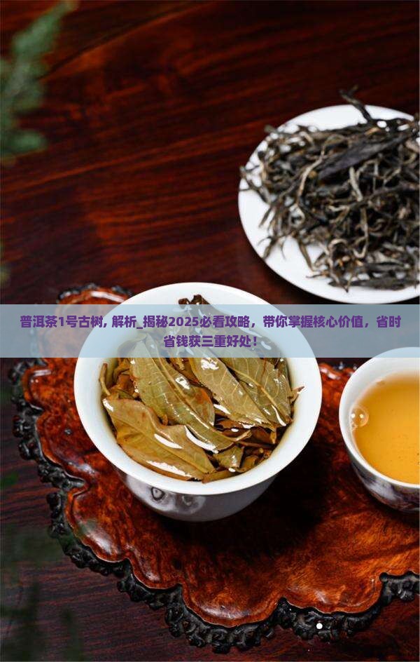 普洱茶1号古树 普洱茶1号古树