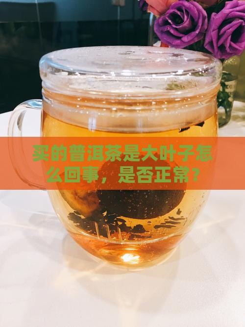 买的普洱茶是大叶子怎么回事
