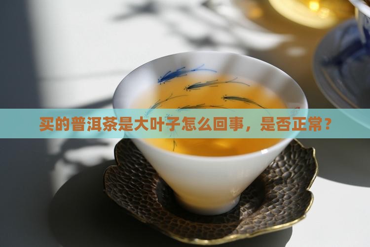 买的普洱茶是大叶子怎么回事