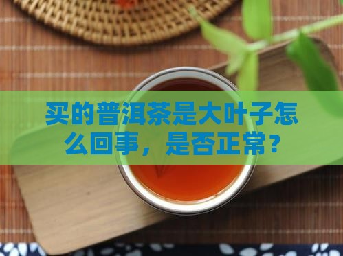 买的普洱茶是大叶子怎么回事