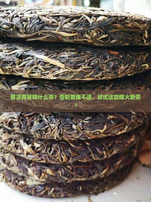 胃凉胃寒喝什么茶