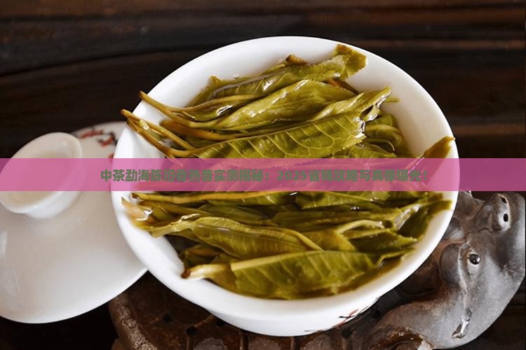 中茶勐海陈旧香熟普