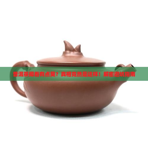 普洱茶闻着有点臭