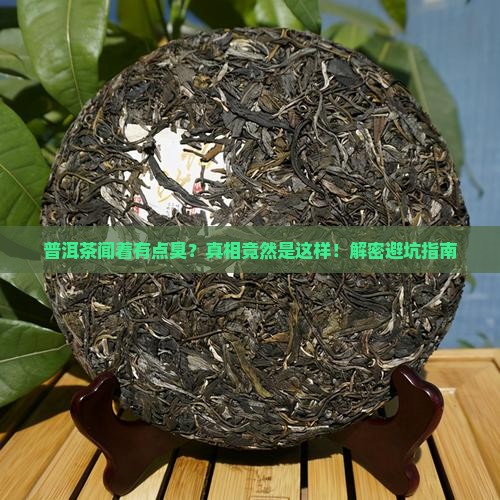 普洱茶闻着有点臭
