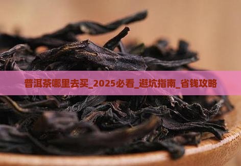 普洱茶哪里去买 普洱茶哪里去买