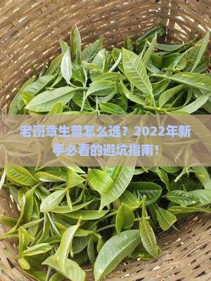 老班章生普推荐2022