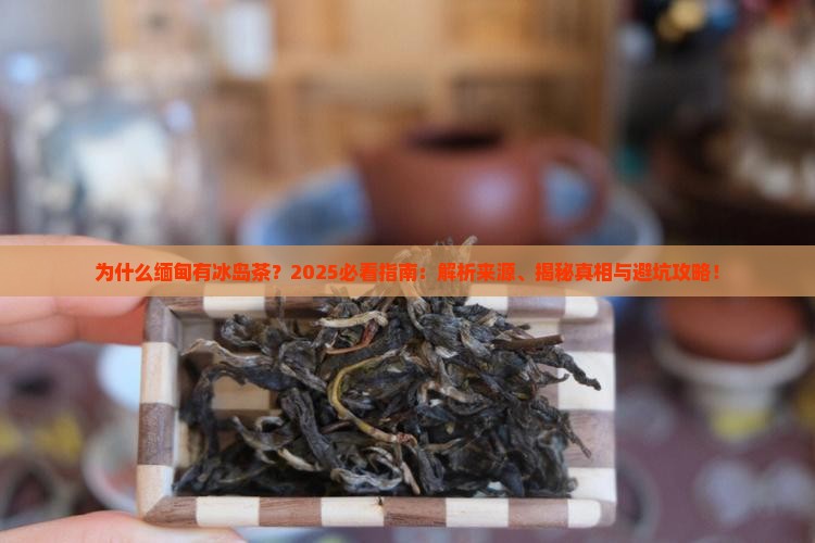 为什么缅甸有冰岛茶