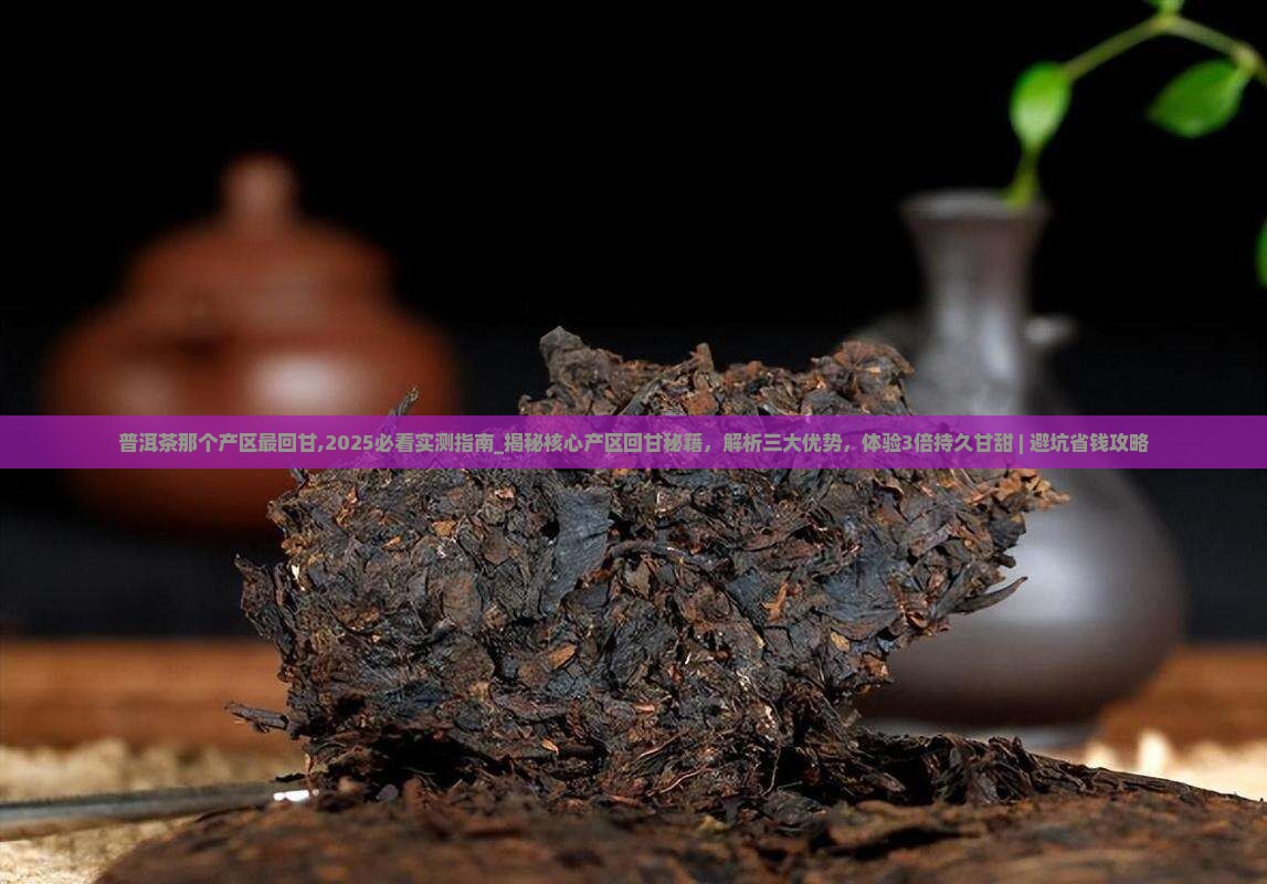 普洱茶那个产区最回甘