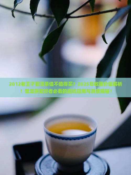 2012老王子普洱茶