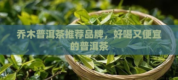 乔木普洱茶哪家好喝又便宜