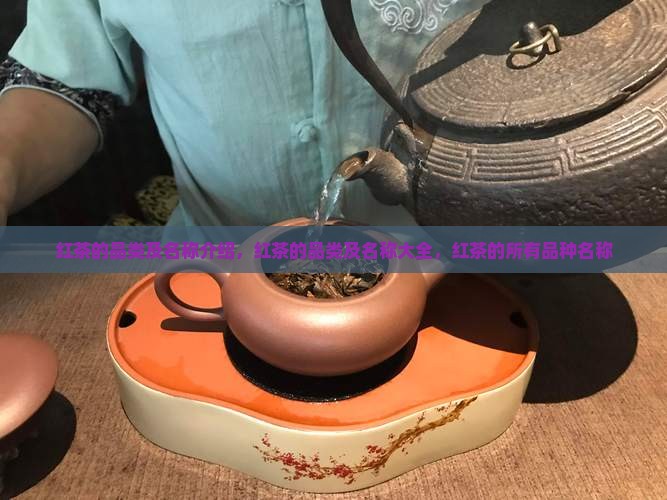 红茶的品类及名称