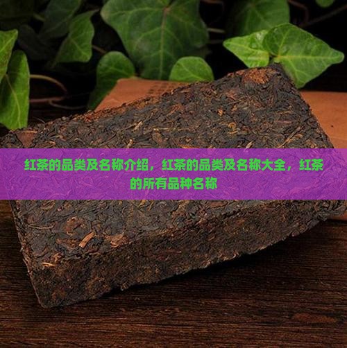 红茶的品类及名称
