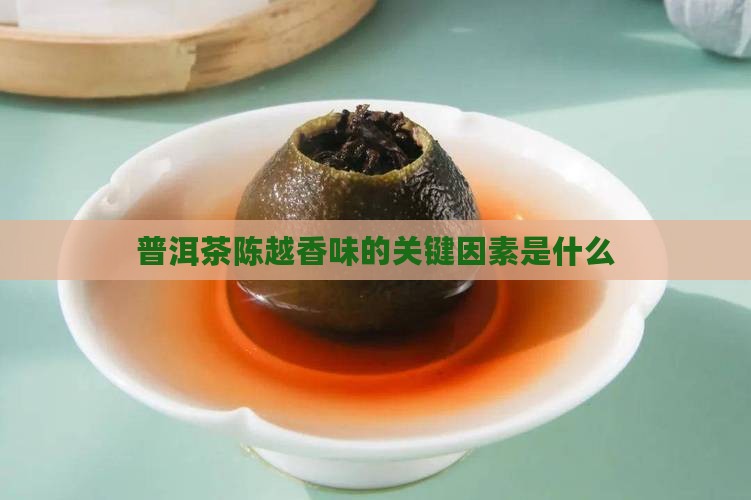 什么普洱茶能越陈越香味