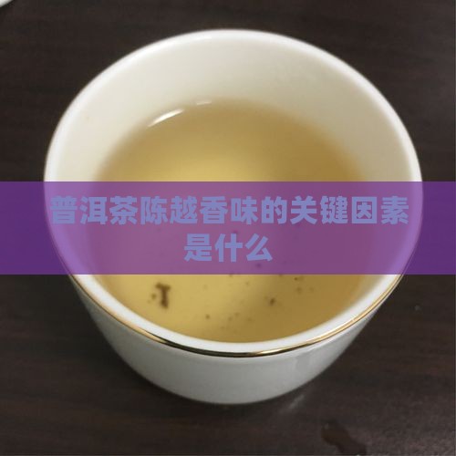 什么普洱茶能越陈越香味