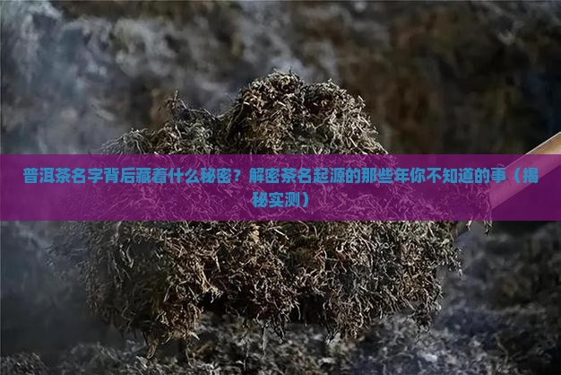 普洱茶茶名起源